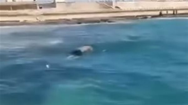 الشاب المصري الغارق