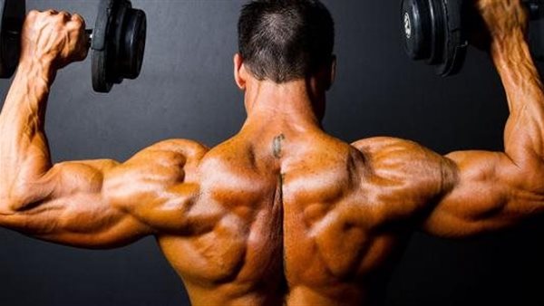 جدول تمارين كمال