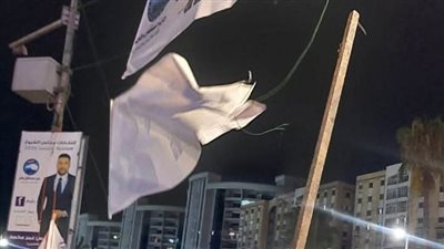 لمخالفتها القوانين..إزالة 46 لافتة دعائية لمرشحين لمجلس الشيوخ بالإسكندرية|صور