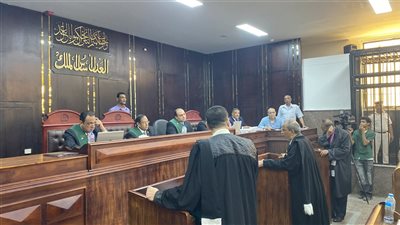 لسماع أقوال الطب الشرعي.. تأجيل محاكمة المتهم بقتل خاله حرقًا في الأقصر لأكتوبر المقبل
