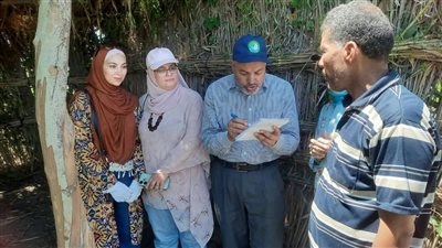 لشرح أهمية ترشيد استهلاك المياه.. مدير الزراعة بالإسكندرية تتفقد محصول الأرز بالحقول الاسترشادية