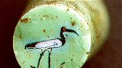 طائر الإبيس في قلب زجاجة.. قطعة فنية نادرة في متحف ألارد بيرسون بأمستردام