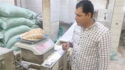تحرير 7 محاضر تموينية متنوعة ضد مخابز مخالفة بكفر الشيخ خلال حملات تفتيشية