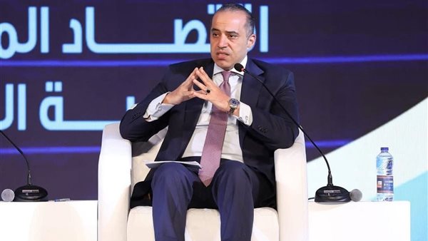 المستشار محمود فوزي