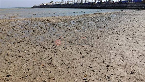 المد والجزر علي شواطئ