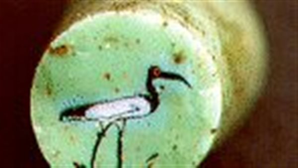 طائر الإيبيس في قلب