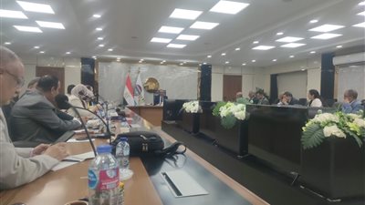 بأسعار تنافسية.. وزير قطاع الأعمال: جهود مكثفة لطرح أول سيارة كهربائية مصرية من النصر للسيارات بنهاية 2025