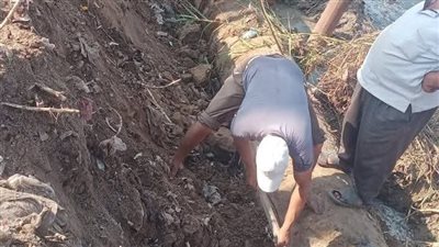 بعد انقطاع 4 ساعات.. عودة مياه الشرب إلى جميع المناطق المتأثرة بمركزي حوش عيسى وأبو المطامير بالبحيرة