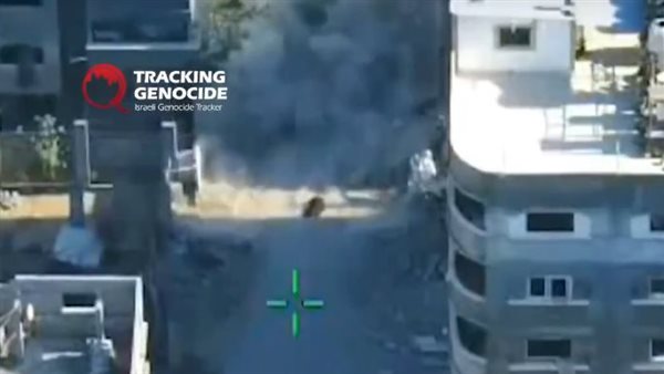 لقطة من الفيديو الصادم