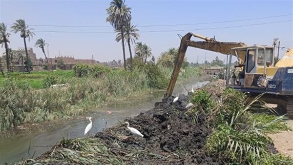 تطهير الترع بأسيوط