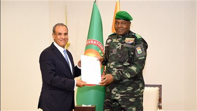 وزير الخارجية يسلم رسالة خطية من الرئيس السيسي إلى رئيس النيجر