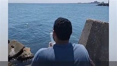 منفِّذًا للدعوات المطروحة.. مصري يُلقي زجاجات طعام في البحر دعمًا لأهالي غزة 