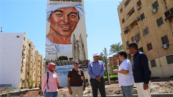 محافظ أسوان