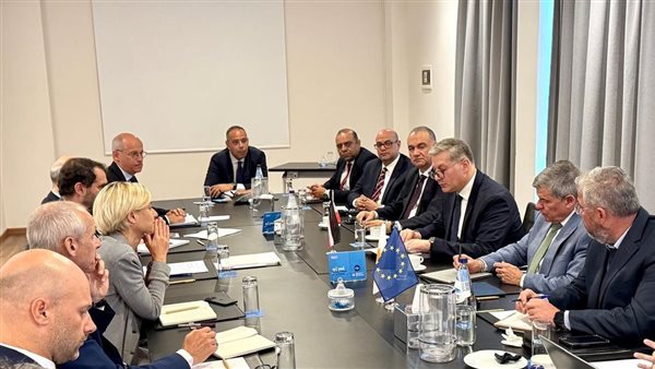 وزير البترول والثروة