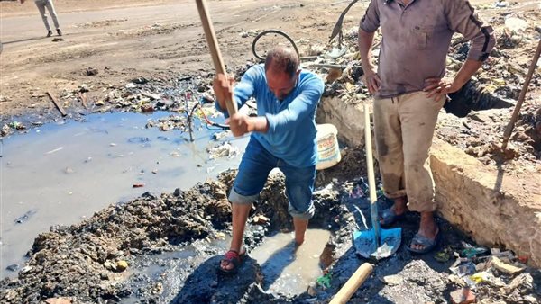 الجهود التنفيذية