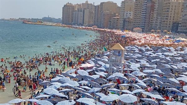 شواطئ الإسكندرية