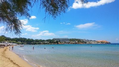 عضه على أحد شواطئ أثينا.. مهاجر سوري يقطع جزءًا من أذن سائح إسرائيلي 