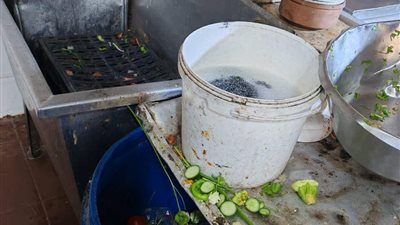 ضبط 1285 كيلو من اللحوم والأغذية غير الصالحة للاستهلاك الآدمي برأس البر