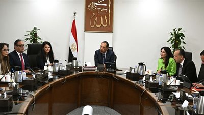 رئيس الوزراء يستعرض الخطوات التنفيذية لإنشاء وحدة مركزية لحصر ومتابعة وتنظيم الشركات المملوكة للدولة