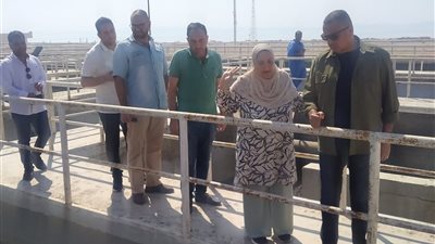  لطرح مشروعات تنموية للمستثمرين.. محافظ جنوب سيناء يتفقد محطة المعالجة والغابة الشجرية بدهب