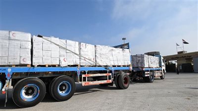  عبر معبر رفح البري.. مرور 38 شاحنة مساعدات إماراتية إلى غزة ضمن عملية الفارس الشهم 3