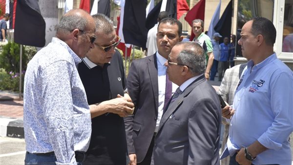 الجهود التنفيذية