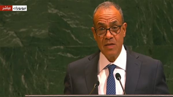 الدكتور بدر عبد العاطي