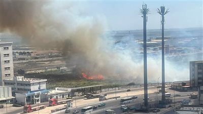 حريق في أرض فضاء في محرم بك بالإسكندرية.. والحماية المدنية تسيطر 