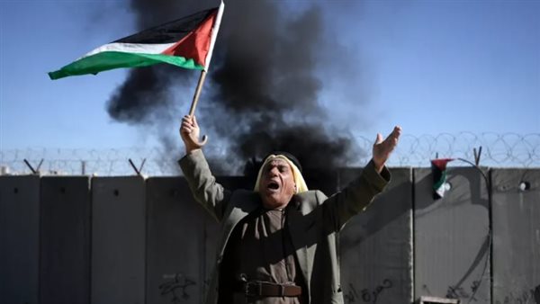 مسن يرفع العلم الفلسطيني