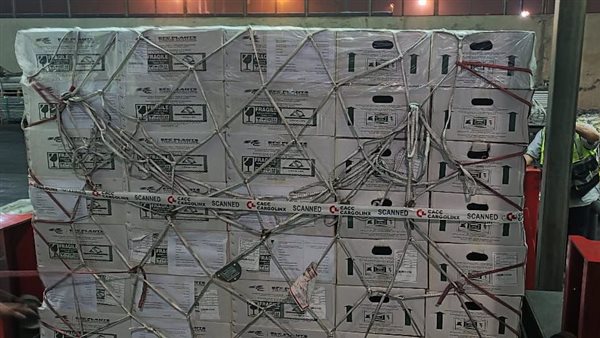 شحنة تقاوي بطاطس