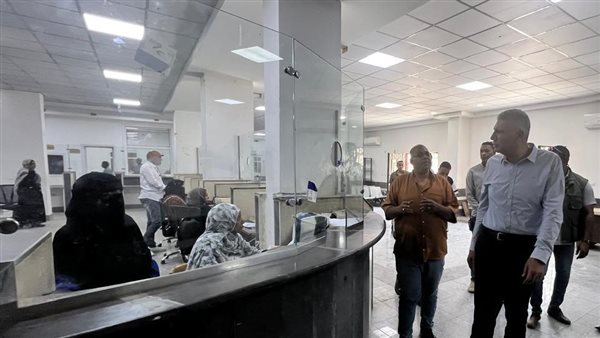 محافظ أسوان 