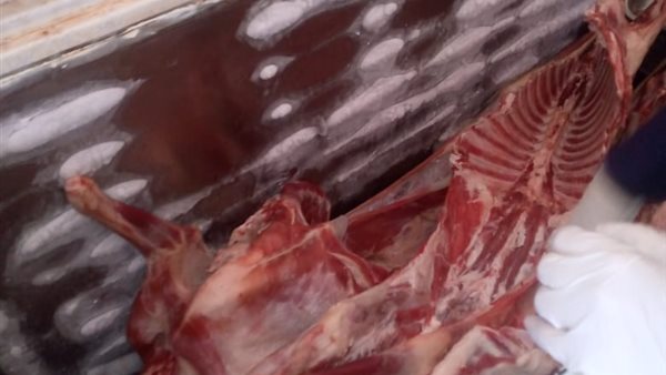 جانب من المضبوطات