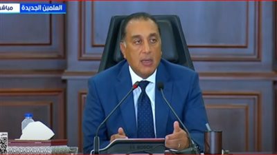 مدبولي: دول بالمنطقة تسعى للاستفادة من البنية التحتية لتسييل الغاز بمصر