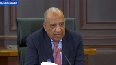 وزير الكهرباء: وفرنا مصادر بديلة للكهرباء لتغذية المناطق المتضررة من انقطاع التيار بالجيزة