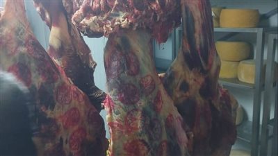 ضبط لحوم غير صالحة للاستهلاك الآدمي وتحرير 300 محضر خلال حملات رقابية بأسيوط