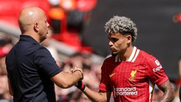 آرني سلوت ودياز