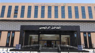 مصرع شخص في تصادم سيارة نقل وعربة كارو في سوهاج