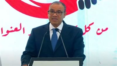وزير الخارجية: مصر تتعرض لحملة دنيئة لتشتيت الانتباه عن إسرائيل