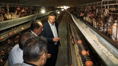 وزير الزراعة ومحافظ الشرقية يتفقدان مشروع الصالحية الزراعي المتكامل