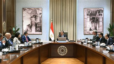 رئيس الوزراء يستعرض مشروعًا لاستغلال مواقع خام الرمال الكاولينية وتعظيم القيمة المضافة منها