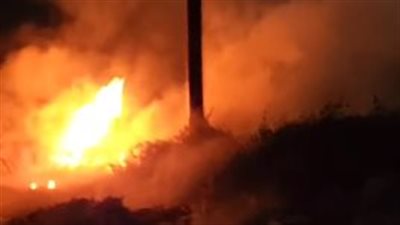 إصابة شخصين في حريق مصنع آيس كريم بالدقهلية 