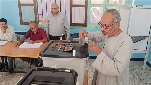 التصويت في انتخابات