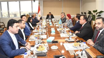 وزير الإسكان يلتقي وفدًا من الجالية المصرية بأمريكا لتلبية احتياجاتهم والاستماع لآرائهم