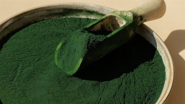 الطحالب ـ تعبيرية