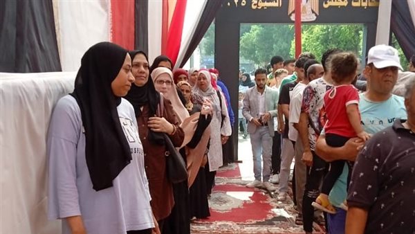 انتخابات مجلس الشيوخ