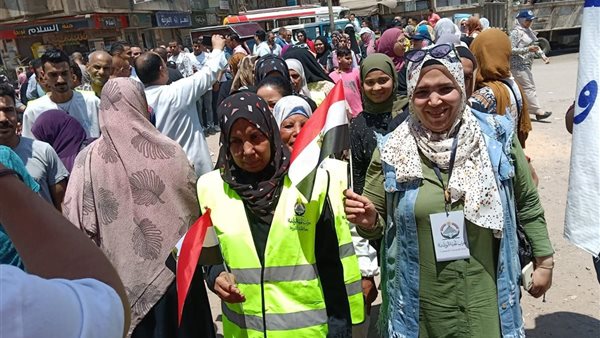 انتخابات مجلس الشيوخ