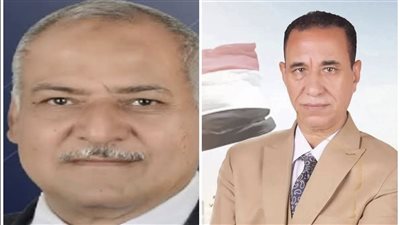 بنسبة حضور 18.6 %.. إعادة بين عبد الحكم وطليب مرشحي الفردي بالوادي الجديد