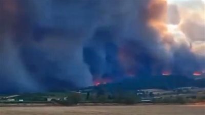 قتيل ودمار بعشرات المنازل│ حرائق مدمرة تجتاح فرنسا.. ومسئول: كارثة غير مسبوقة 