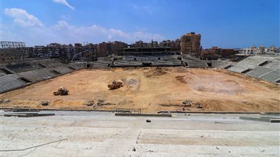 بورسعيد × 24 ساعة | تحصين الماشية بسهل الطينة وقطار التطوير يصل السلام.. وستاد المصري يقترب من الاكتمال