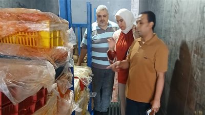 خلال 48 ساعة.. تموين الدقهلية تضبط غشًا تجاريًا واسع النطاق وتصادر أطنانًا من السلع مجهولة المصدر